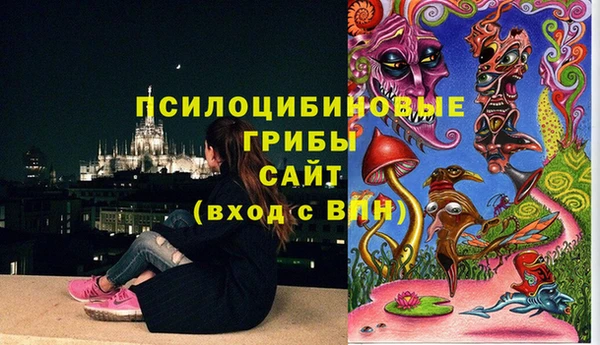 мдпв Беломорск