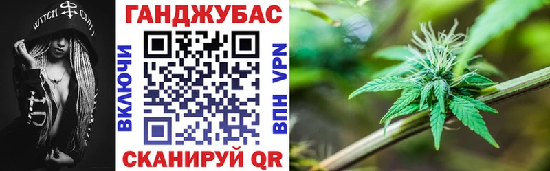 Конопля план  Яровое 